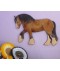 Personalised Pony Wall Plaque - Cob